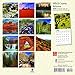 Wild & Scenic Arizona 2018 Calendar