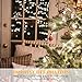 ON'H Christmas Lights 100-Count Clear Mini String Lights Set Indoor Outdoor Lighting for Christmas Tree Party Wedding Home Bedroom Grapevine Decoration 100 Bulbs Green Wire