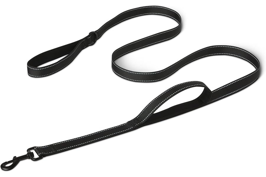 Amazon Basics Dog Leash, 6ft with 2 Comfortable Dual Padded Handles for Traffic Control, Highly Reflective Leashes for Large & Medium Dogs, Night Safety, Easy Snap Hook, Black