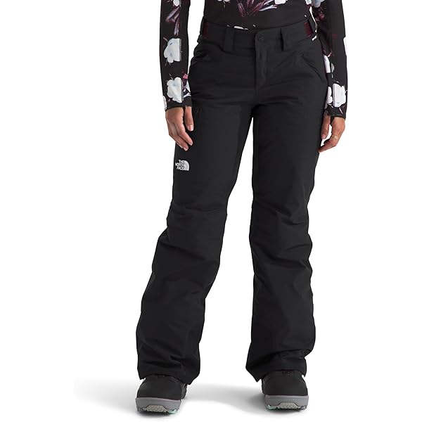 Amazon.com: Helly-Hansen Women's Blizzard Insulated Pant, 990