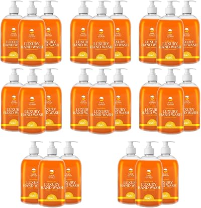 Star Brite Safe Hands Luxury Hand Wash Orange Bergamot 24 x 500ml Antibacterial