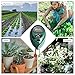 Besmon Soil Moisture Sensor Meter,Soil Test Kit Plant Moisture Meter 3-in-1 Soil pH Tester for Plant Care,Gardening, Farming, No Batteries Required