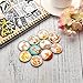 FF Elaine 10 Pcs Fridge Magnets Crystal Glass Housewarming Home Decorations Gift (Fox)