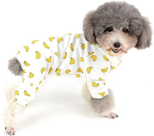 hill's science small bites