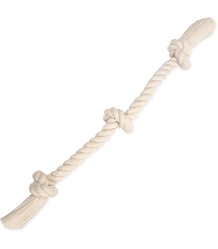 dog toy subscription box 3 Month Plan