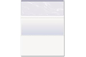 UNKNOWN DocuGard 04501 Standard Security Check, Blue Marble Top, 11 Features, 8 1/2 x 11, 500/RM