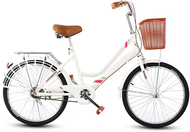 22 inch beach cruiser