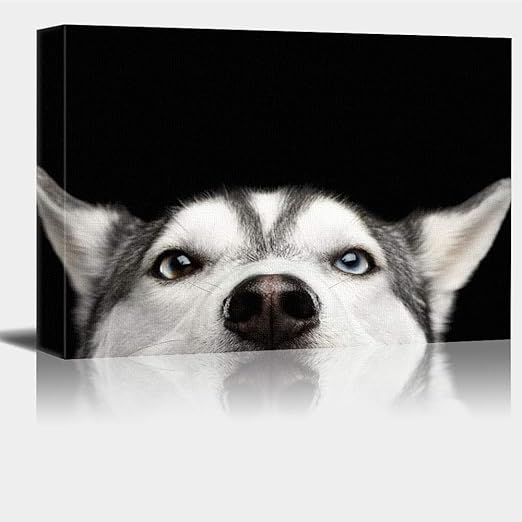 husky wall art