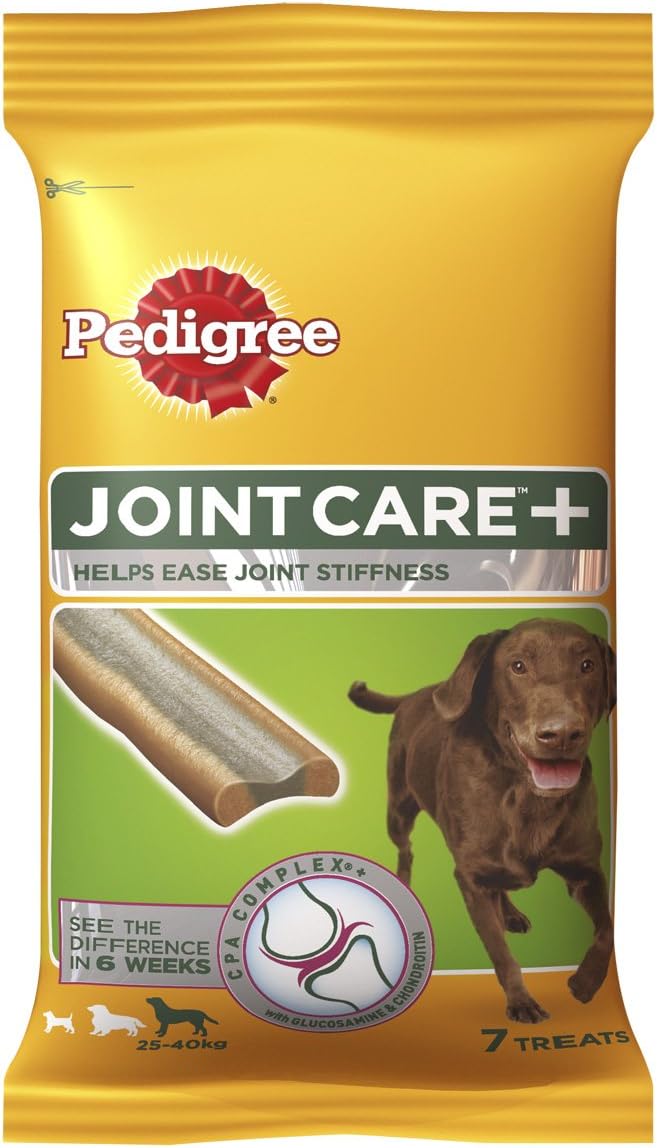 Is It Normal For Dogs To Chew On Sticks at Concha Hills blog