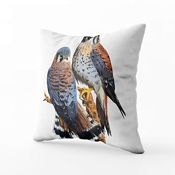Amazon Com Musesh My Pillow Case Throw Pillows American Kestrel