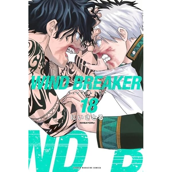 Wind Breaker 16 | Amazon.com.br