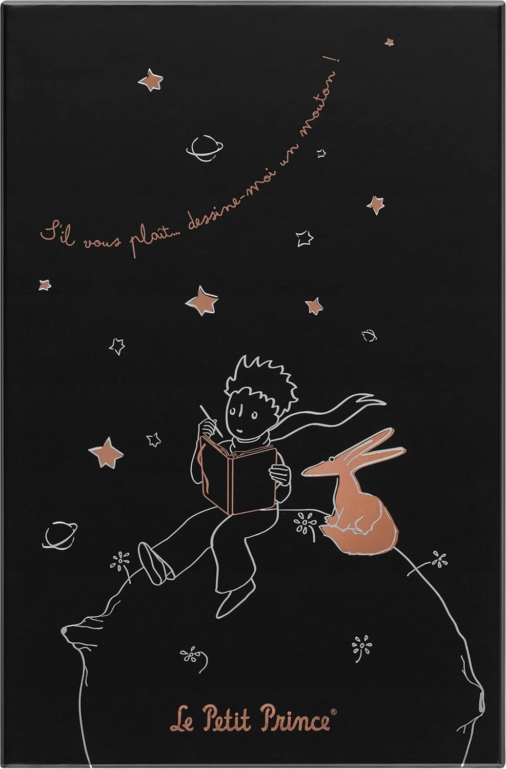 Moleskine Le Petit Prince Limited Edition, The Little Prince, Limited Edition Notebook, Large Format, Hard Cover, Ruled Pages