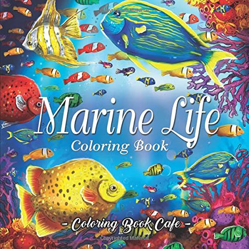 Amazon Com Marine Life Coloring Book An Adult Coloring Book