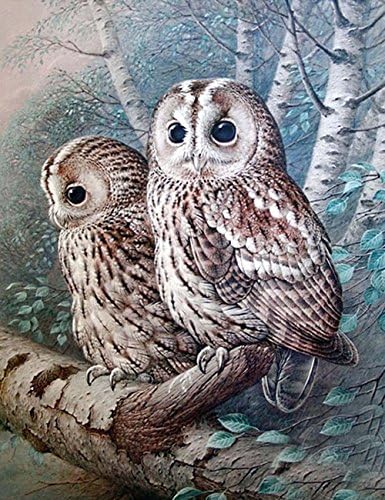 DIY 5D Diamond Painting by Number Kit, Full Drill White owl Embroidery Cross Stitch Arts Craft Canvas Wall Decor (11.8" in×15.8" in.)