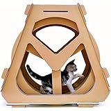 cat exercise wheels