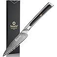 Sunnecko Paring Knife 3.5 Inch, Fruit Knife with 67-layers Damascus Steel VG-10 Blade Small Knife, Peeling Knife with Inlaid Handle Small Kitchen Knife Perfect for Cutting Fruit Vegetables Petty Knife