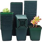 RooTrimmer Square Nursery Succulent Pots 4 Inches 60 Pcs Deep Flower Plant Nursery Seedling Grow Pots Plastic with Drainage (Green, 4Inches, 60Pcs)
