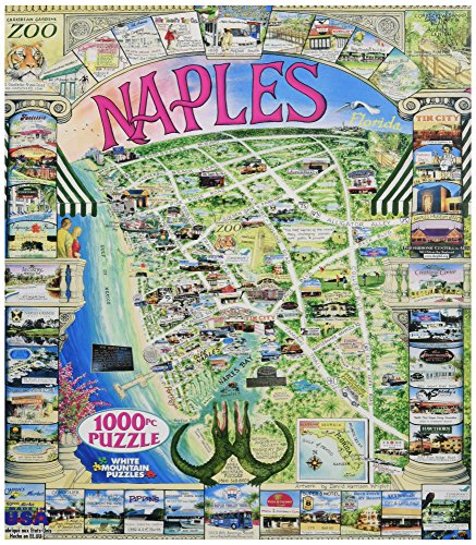 White Mountain Puzzles Naples Florida - 1000 Piece Jigsaw Puzzle