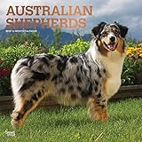 Australian Shepherds 2019 12 x 12 Inch Monthly Square Wall Calendar with Foil Stamped Cover, Animals Dog Breeds (Multilingual Edition)