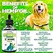 Hemp Oil for Dogs & Cats - 12 000mg - Anxiety Relief for Dogs & Cats - Pet Hemp Oil - Supports Hip & Joint Health - Grown & Made in USA - Natural Relief for Pain - Omega 3, 6 & 9
