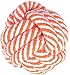 Dog Rope Toy Knots Ball Puppy Pet Chew Durable Toys for Small Medium Dogs Orange