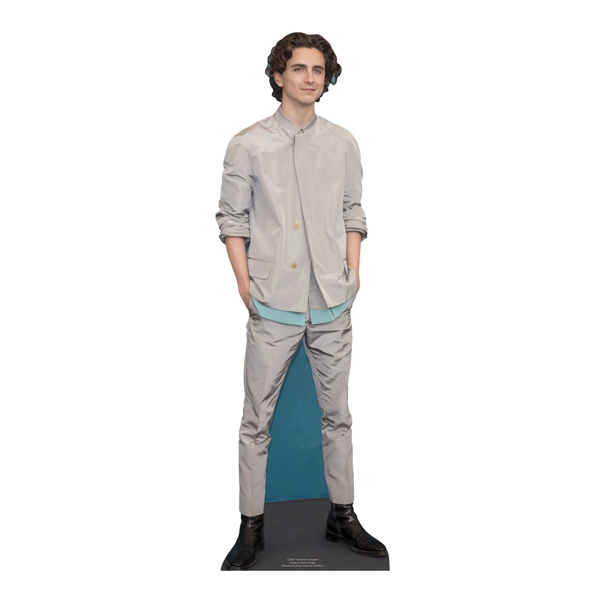 STAR CUTOUTS CS847 Timothee Chalamet Cardboard Cutout Star Mini Height 90cm Width 29cm, Solid, Multicolour, Regular