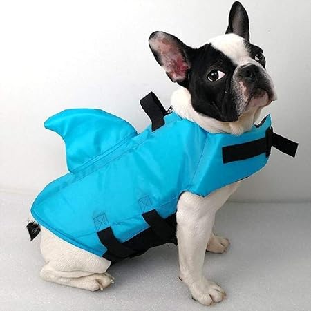 dog water life jacket