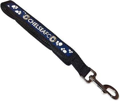 dog leads amazon uk