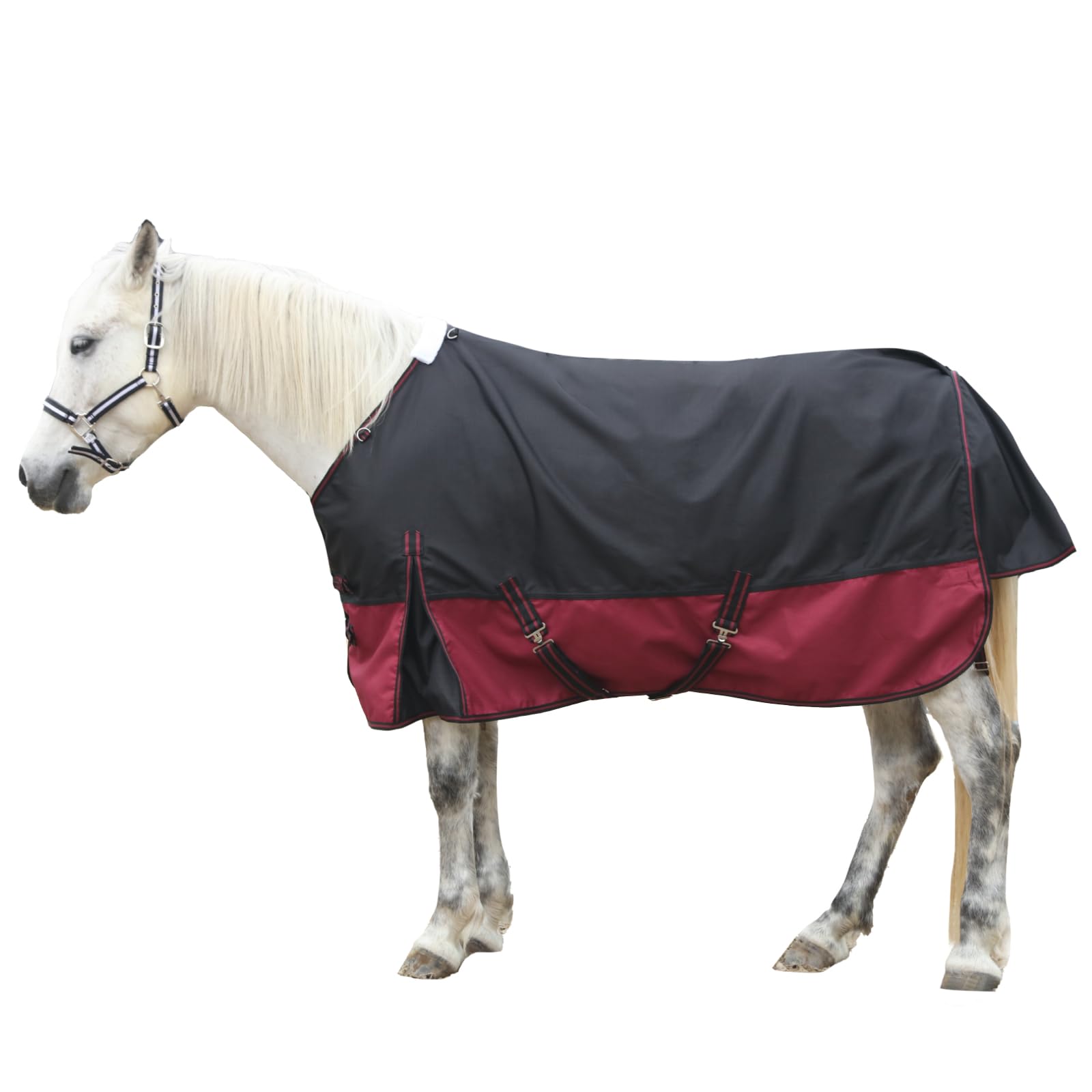 Photo 1 of Gallopoff 1200 Denier Rip-Stop Turnout Rain Sheet Lightweight Waterproof Breathable Horse Blanket (No Fill) Blackwine 78"