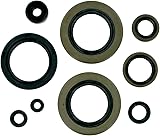 Winderosa Engine Oil Seal Kit 822104