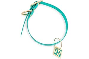 SALESONE Scooby Doo Blue Dog Collar Necklace Replica With Pendant Charm and Adjustable Strap | Costume Jewelry For Cosplay, Display, and Everyday Wear