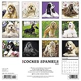 Image de Just Cocker Spaniels 2018 Calendar