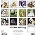 Just Cocker Spaniels 2018 Calendar