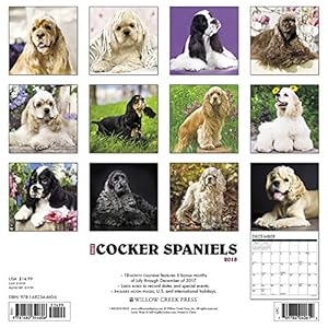 Just Cocker Spaniels 2018 Calendar