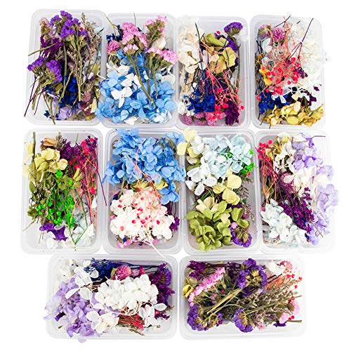 Uoeo 3 Boxes Dried Flowers 3D Real Nail Dried Flowers Mixed Natural Dried Flowers DIY Art Floral Real Dried Flowers for Candle Nail Epoxy Resin Pendant Jewelry Making, Random Color
