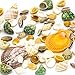 Sea Shells Mixed Beach Seashells, Natural Colorful Assorted Sea Shells for Crafts and Home Decorations (100 Seashells)