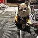 NACOCO Pet Guitar Costume Dog Costumes Cat Halloween Christmas Cosplay Party Funny Outfit Clothes (M)