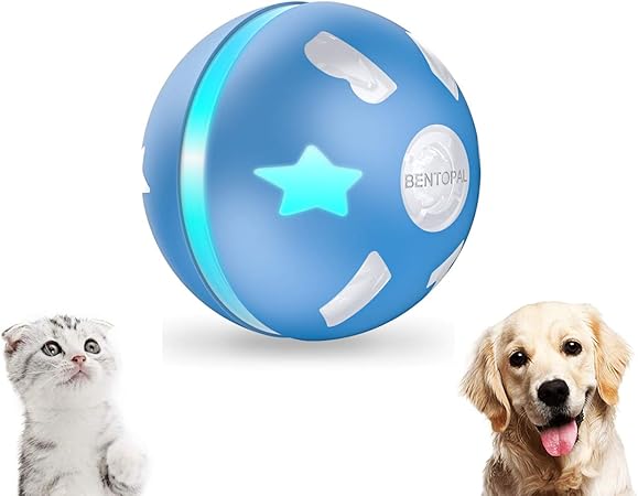 too cute dog shop active rolling ball
