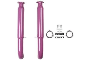 Flowtech 50232FLT Purple Hornies Glasspack
