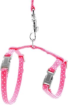 Smalllee Lucky Store Laisse Harnais A Pois Pour Chien Chat Amazon Fr Animalerie