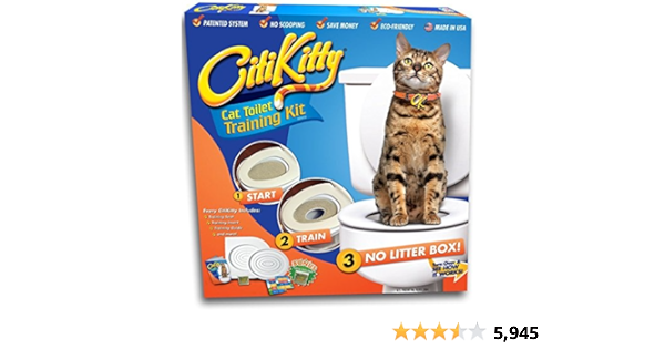 citikitty amazon