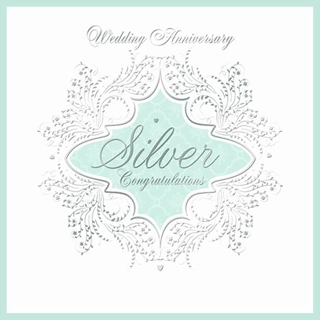 Amazon Com Shop At 247 25th Silver Wedding Anniversary Invitations Pack Of 6 Quality Cards Envelopes Home Kitchen