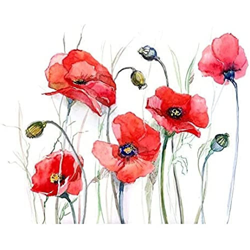 Flowers Painting Of Poppies Art Print Canvas Premium Wall Decor Poster
