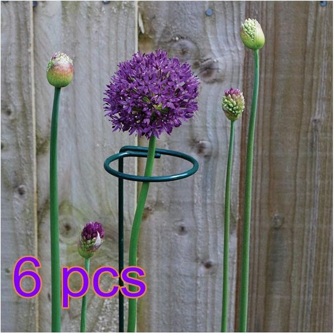 Noloo スチール製花支え 植物支柱 幹支え支柱 フラワーサポート 園芸支柱 葉だれ防止 野菜や花等の誘引にピッタリ 45ｃｍ ６本セット 支柱 Amazon