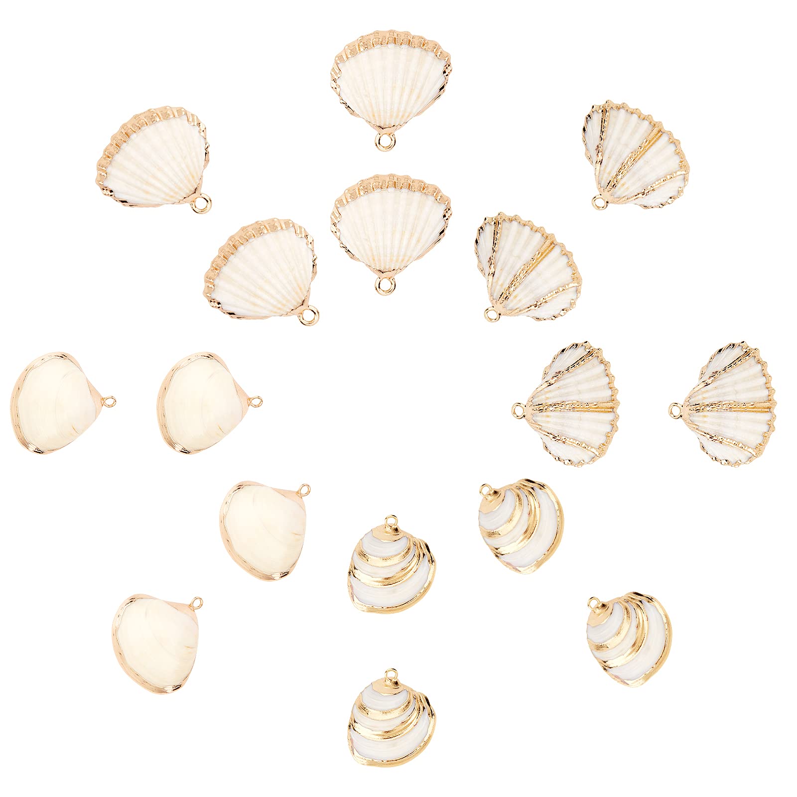 SUNNYCLUE 1 Box 16Pcs Seashell Charms Oval Ocean Beach Spiral Connectors Pendant Conch Shells Charms with Plated Golden Loop Bail for Jewelry Making DIY Necklace Bracelet Supplies