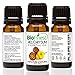 BioFinest Helichrysum Oil - 100% Pure Helichrysum Essential Oil - For Skin Rashes, Acne, Sunburn, Blemishes - Premium Quality - Therapeutic Grade - Best For Aromatherapy - FREE E-Book (10ml)