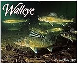 2015 Walleye Wall Calendar Fishing Willow Creek Press jg by 