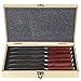 Tyrellex Steak Knives | Premium Steak Knife Set (6 Pieces and Wood Gift Box)