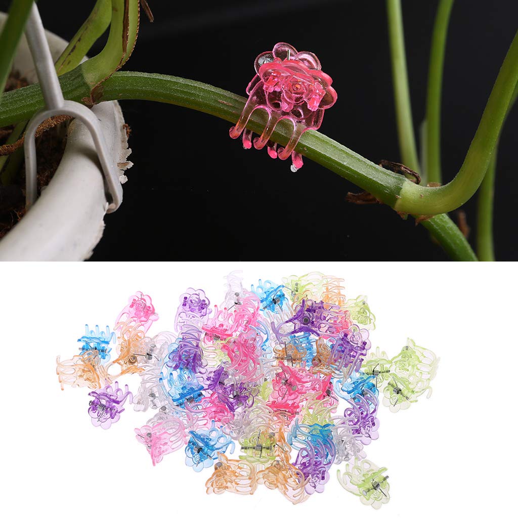 Ycncixwd 60 Piezas de plástico Plantas Fix Clips orquídeas Clips ...