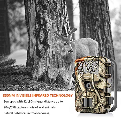 Trail Camera Hunting Game Camera, 2019 Upgraded Motion Activated Night